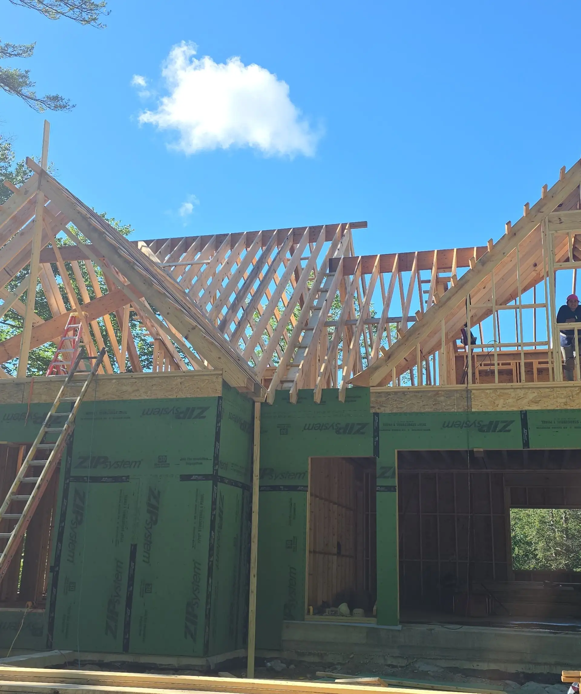 Insights from Bird Carpenter LLC